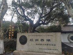 -杭州黄龙洞