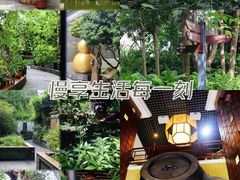 -广州神农草堂中医药博物馆