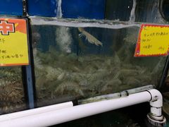 -蚝专家(北滘店)