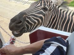 -南京金牛湖风景区