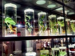 -广东中医药博物馆