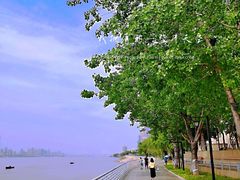 -武昌江滩