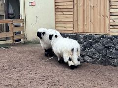 -HERRE·FARM 赫尔露营农场·团建聚会包场