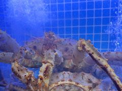 -77号渔船·蒸海鲜青岛菜(积米崖店)