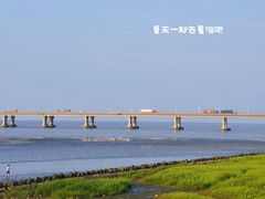 -南汇新城海滩
