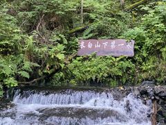 -峡谷浮石林景区