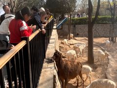 -石家庄市动物园