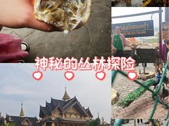 -西双版纳傣族园