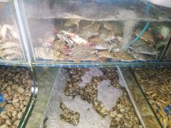 -蟹谢蒸鲜自助餐厅