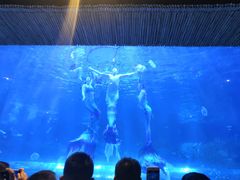 -华夏文旅海洋公园