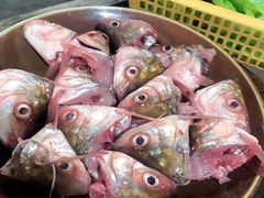 -章记正宗南岗鱼蛋火锅