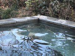 -中华郡温泉