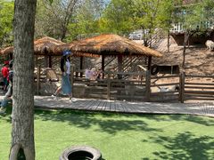 -北京鹿世界主题园