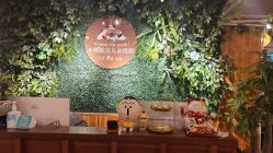 -小熊维尼高端儿童摄影(罗湖区总店)