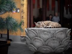 -龙华寺