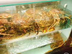 -甄御•海鲜新青岛菜(麦岛店)