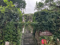 -树厨贵州菜(铜仁花果山店)