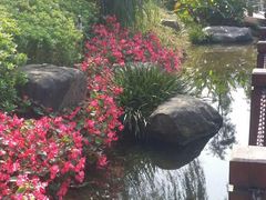 -重庆彩云湖湿地公园