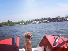 -上海长兴岛郊野公园