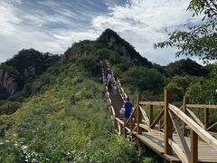 -大岭沟猕猴桃谷风景区