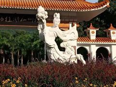 -深圳仙湖植物园
