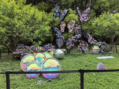 -上海共青森林公园