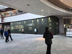 -上海长风大悦城
