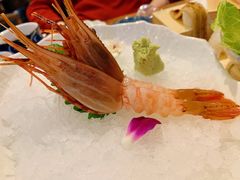 牡丹虾-阿吾罗日本料理(K11艺术中心店)