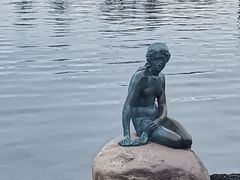 -美人鱼