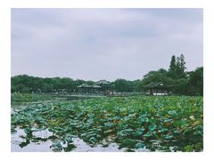 -中影国际影城(西溪印象城CINITYLED店)