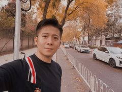 -三里屯东五街银杏大道