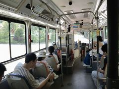 -广州白江湖森林公园