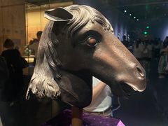 -广西壮族自治区博物馆