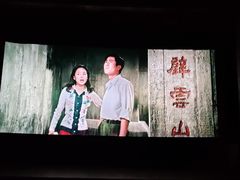 -庐山恋影院(河西路店)