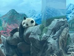 -武汉动物园