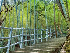 -石台牯牛降景区