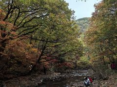 -大连天门山国家森林公园
