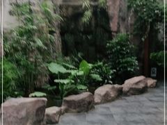 -滕头生态酒店(奉化店)