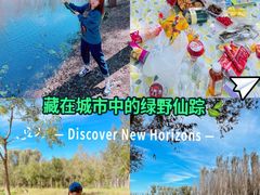 -东郊湿地公园