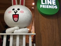 -line friends(明洞旗舰店)