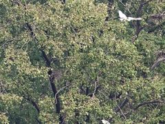 -艾溪湖湿地公园