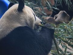 -石家庄市动物园