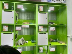 -唐小姐の猫狗洗护·购宠旗舰店(周浦万达店)
