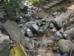 景点-火炉山森林公园