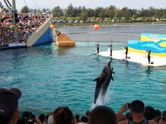 -秦皇岛乐岛海洋王国