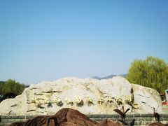 -北京西山国家森林公园