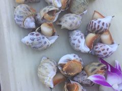 -崖口红树林海鲜餐厅