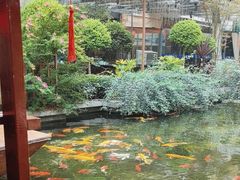 -大融厨·鸡毛店·川菜(果壳里东安湖店)