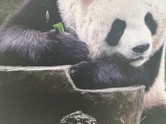 -宁波野生动物园