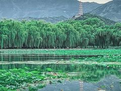 -颐和园